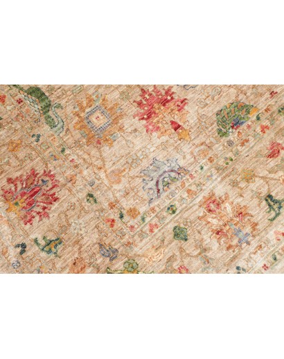 Tappeto Shahi Fine Pakistan marrone 172x239
