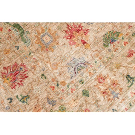 Tappeto Shahi Fine Pakistan marrone 172x239