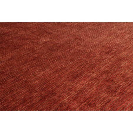 Tappeto Shayan Pakistan marrone arancione 249x355