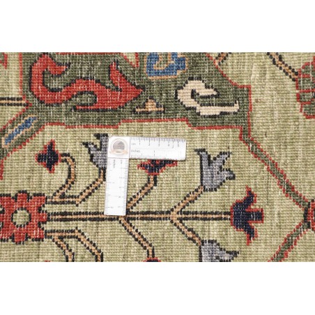 Tappeto Zigler Fine Pakistan marrone 256x312