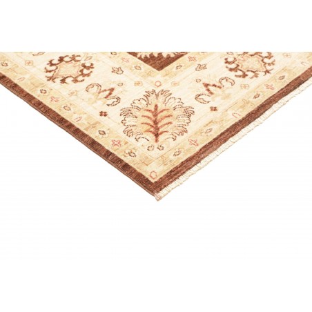Tappeto Zigler Fine Pakistan beige marrone 170x237