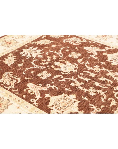 Tappeto Zigler Fine Pakistan beige marrone 170x237