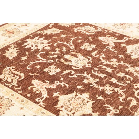Tappeto Zigler Fine Pakistan beige marrone 170x237