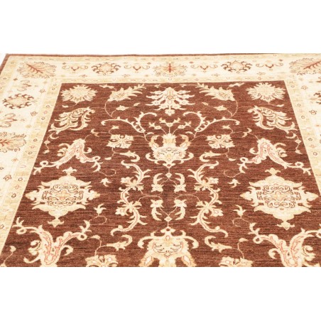 Tappeto Zigler Fine Pakistan beige marrone 170x237