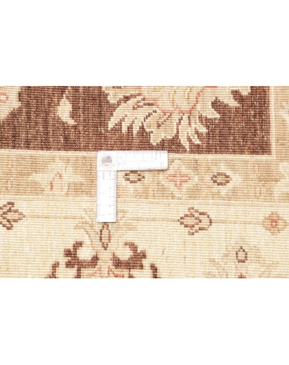 Tappeto Zigler Fine Pakistan beige marrone 170x237