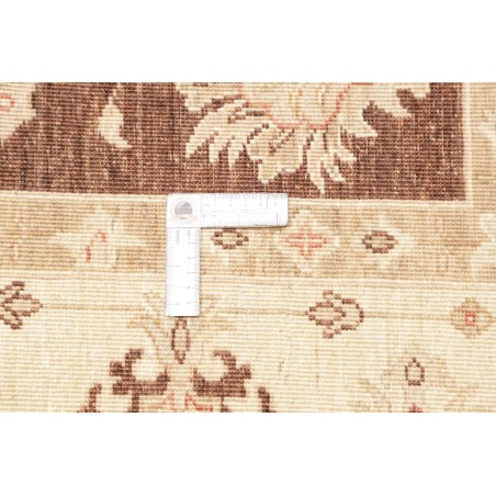 Tappeto Zigler Fine Pakistan beige marrone 170x237