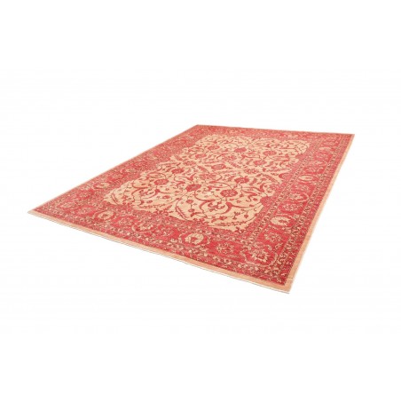 Tappeto Zigler Fine Pakistan arancione marrone 252x296