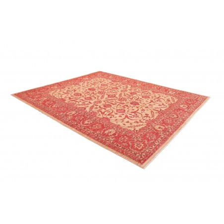 Tappeto Zigler Fine Pakistan arancione marrone 252x296