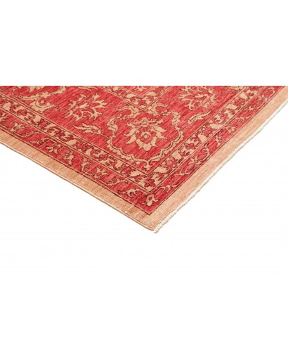 Tappeto Zigler Fine Pakistan arancione marrone 252x296