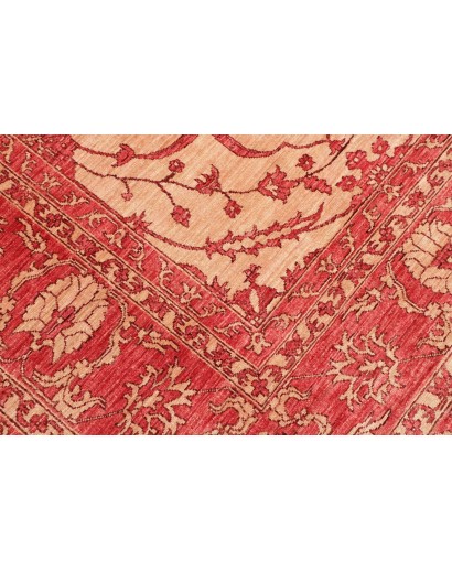 Tappeto Zigler Fine Pakistan arancione marrone 252x296