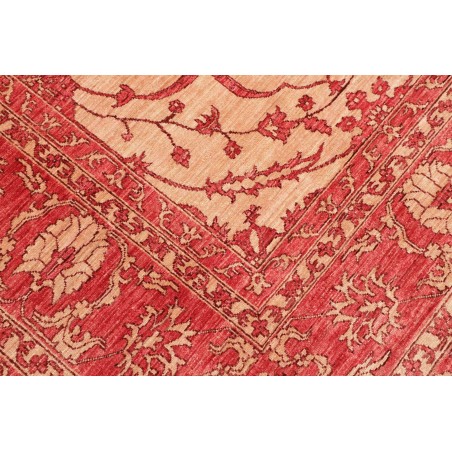 Tappeto Zigler Fine Pakistan arancione marrone 252x296