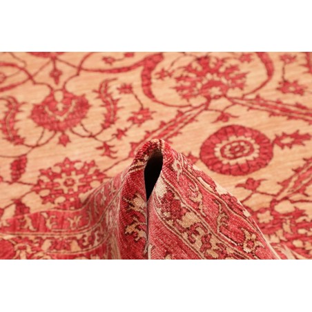 Tappeto Zigler Fine Pakistan arancione marrone 252x296