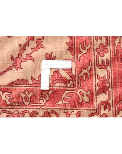 Tappeto Zigler Fine Pakistan arancione marrone 252x296