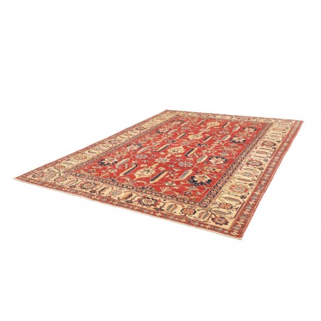 Tappeto Kazak Fine Pakistan marrone rosso 248x322