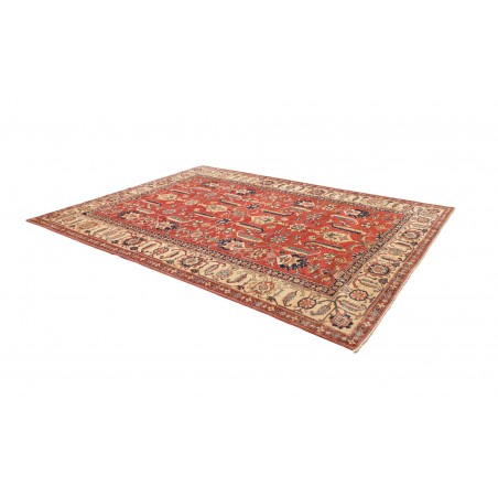 Tappeto Kazak Fine Pakistan marrone rosso 248x322