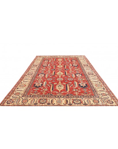 Tappeto Kazak Fine Pakistan marrone rosso 248x322