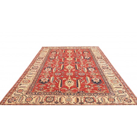 Tappeto Kazak Fine Pakistan marrone rosso 248x322