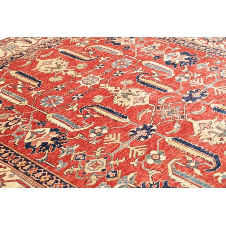 Tappeto Kazak Fine Pakistan marrone rosso 248x322