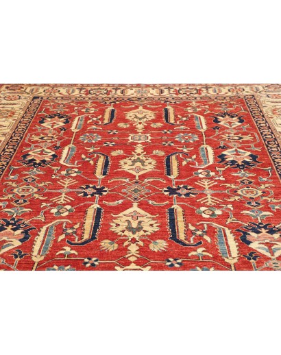 Tappeto Kazak Fine Pakistan marrone rosso 248x322