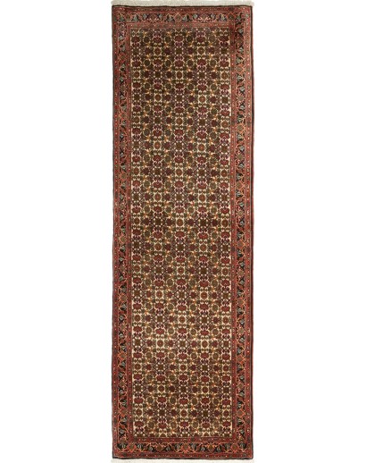 Tappeto Bidjar Persia verde marrone 65x211