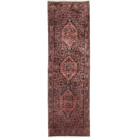 Tappeto Bidjar Persia verde marrone 58x200