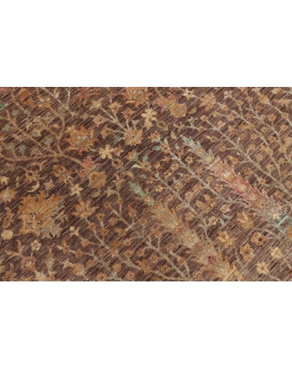 Tappeto Shahi Fine Pakistan bianco azzurro 251x335