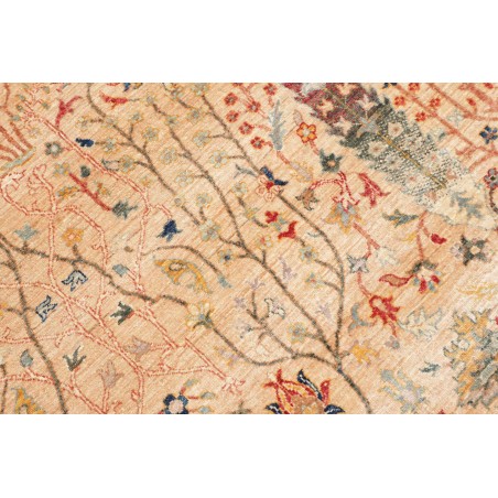 Tappeto Shahi Fine Pakistan marrone grigio 168x226
