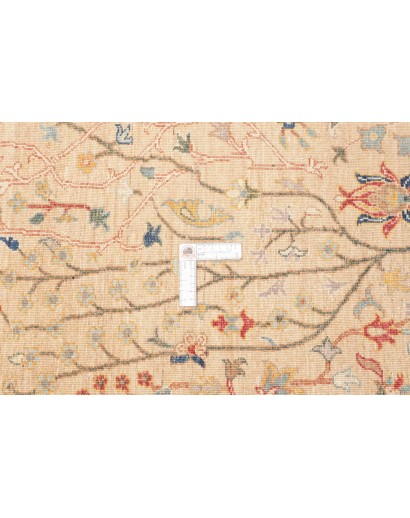 Tappeto Shahi Fine Pakistan marrone grigio 168x226