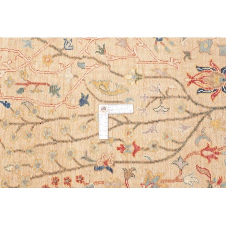 Tappeto Shahi Fine Pakistan marrone grigio 168x226