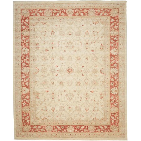 Tappeto Zigler Fine Pakistan marrone giallo 246x299