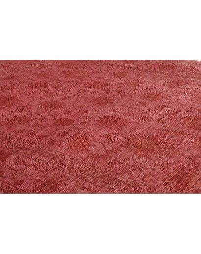 Tappeto Zigler Fine Pakistan marrone arancione 251x306