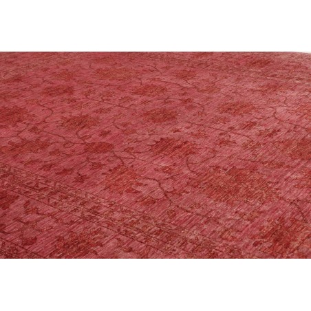 Tappeto Zigler Fine Pakistan marrone arancione 251x306