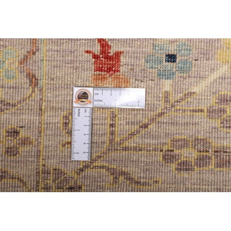 Tappeto Zigler Fine Pakistan bianco grigio 295x391