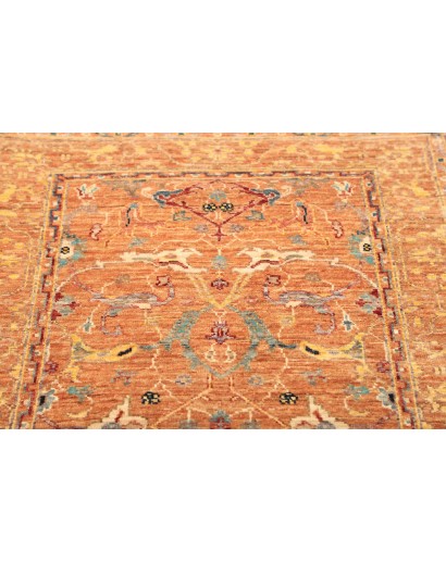 Tappeto Zigler Fine Pakistan arancione bianco 83x247