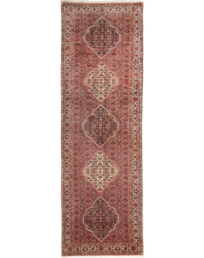 Tappeto Bidjar Persia marrone verde 77x248
