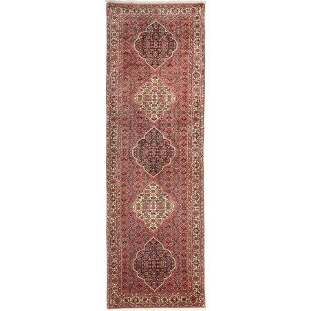 Tappeto Bidjar Persia marrone verde 77x248