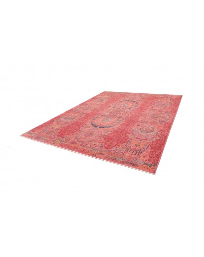 Tappeto Shahi Fine Pakistan marrone grigio 254x313