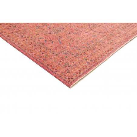 Tappeto Shahi Fine Pakistan marrone 249x307