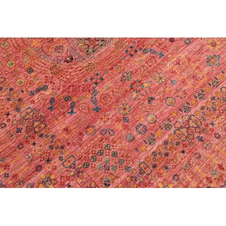 Tappeto Shahi Fine Pakistan marrone 249x307