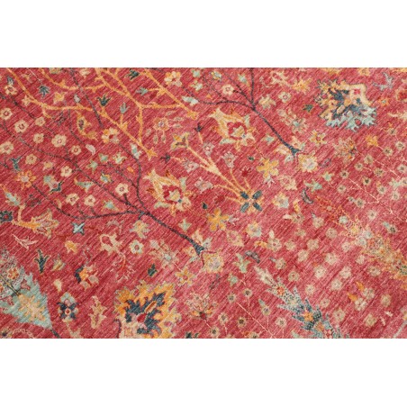 Tappeto Shahi Fine Pakistan marrone bianco 248x315