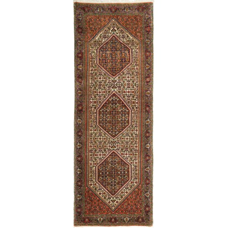 Tappeto Bidjar Persia verde giallo 76x211