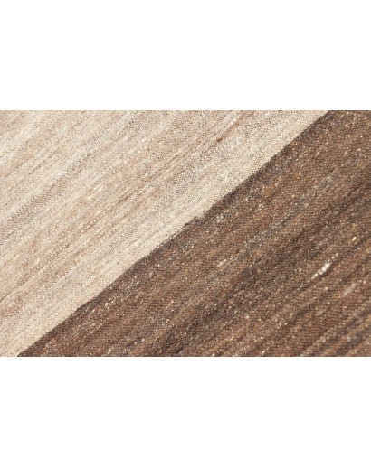 Tappeto Kilim Kavir Persia marrone verde 63x1690