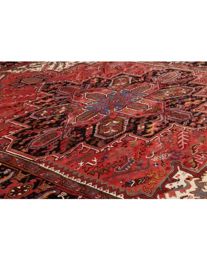 Tappeto Gorawan Persia marrone giallo 278x340