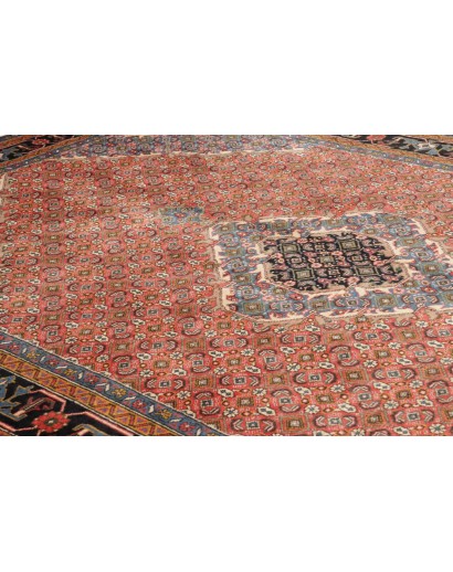Tappeto Ardabil Persia marrone arancione 200x290