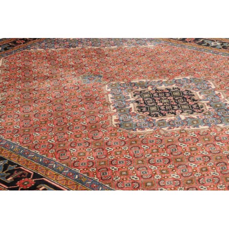 Tappeto Ardabil Persia marrone arancione 200x290