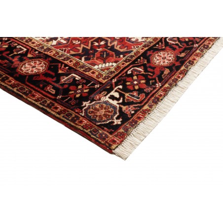 Tappeto Gorawan Persia marrone 220x303