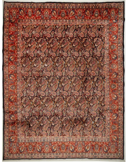 Tappeto Kashamr Zirkhaki Persia marrone arancione 295x380