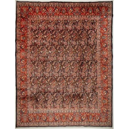 Tappeto Kashamr Zirkhaki Persia marrone arancione 295x380