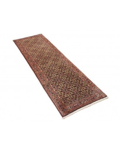 Tappeto Bidjar Persia verde marrone 65x211