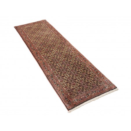 Tappeto Bidjar Persia verde marrone 65x211
